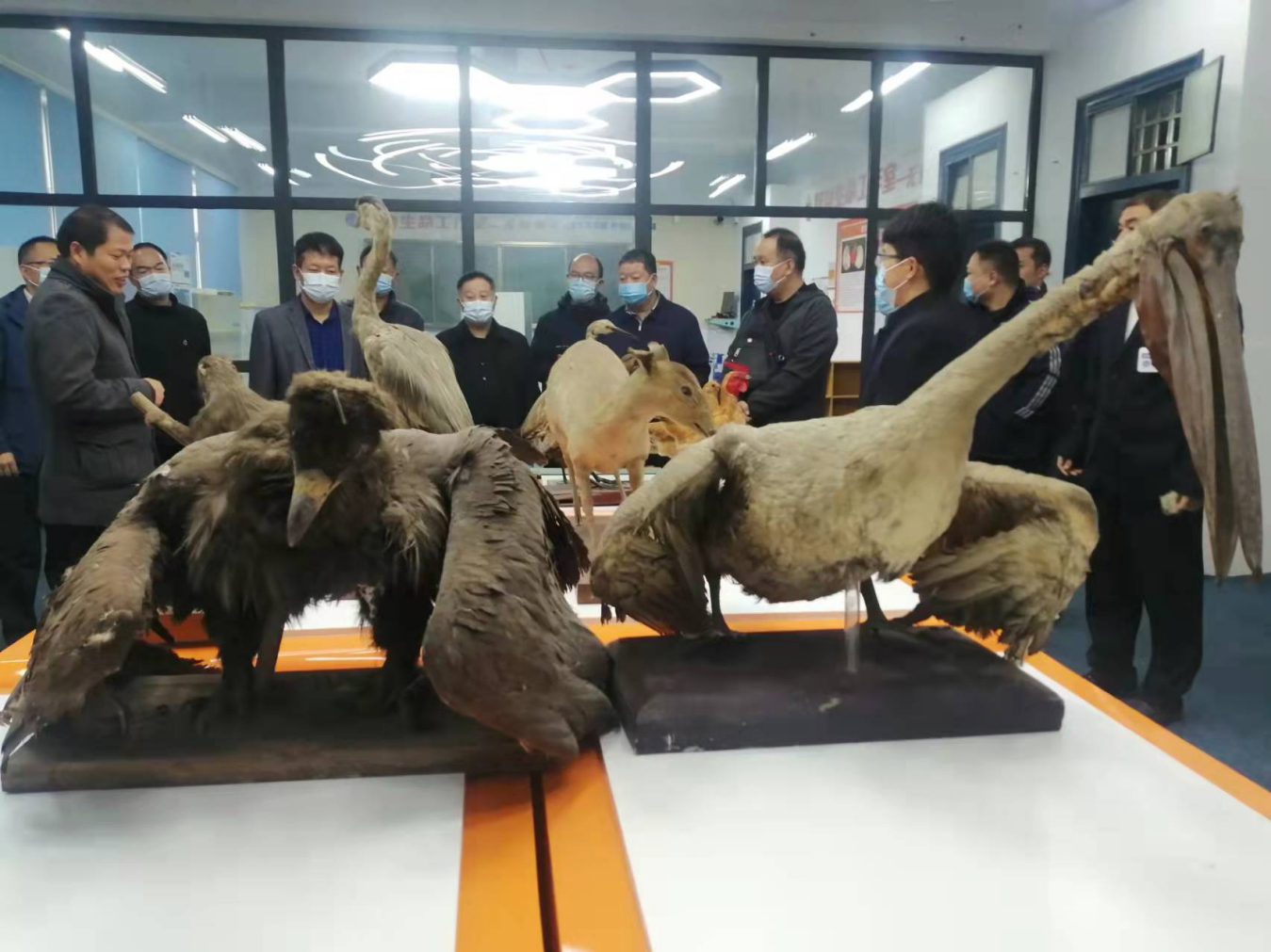 图片13