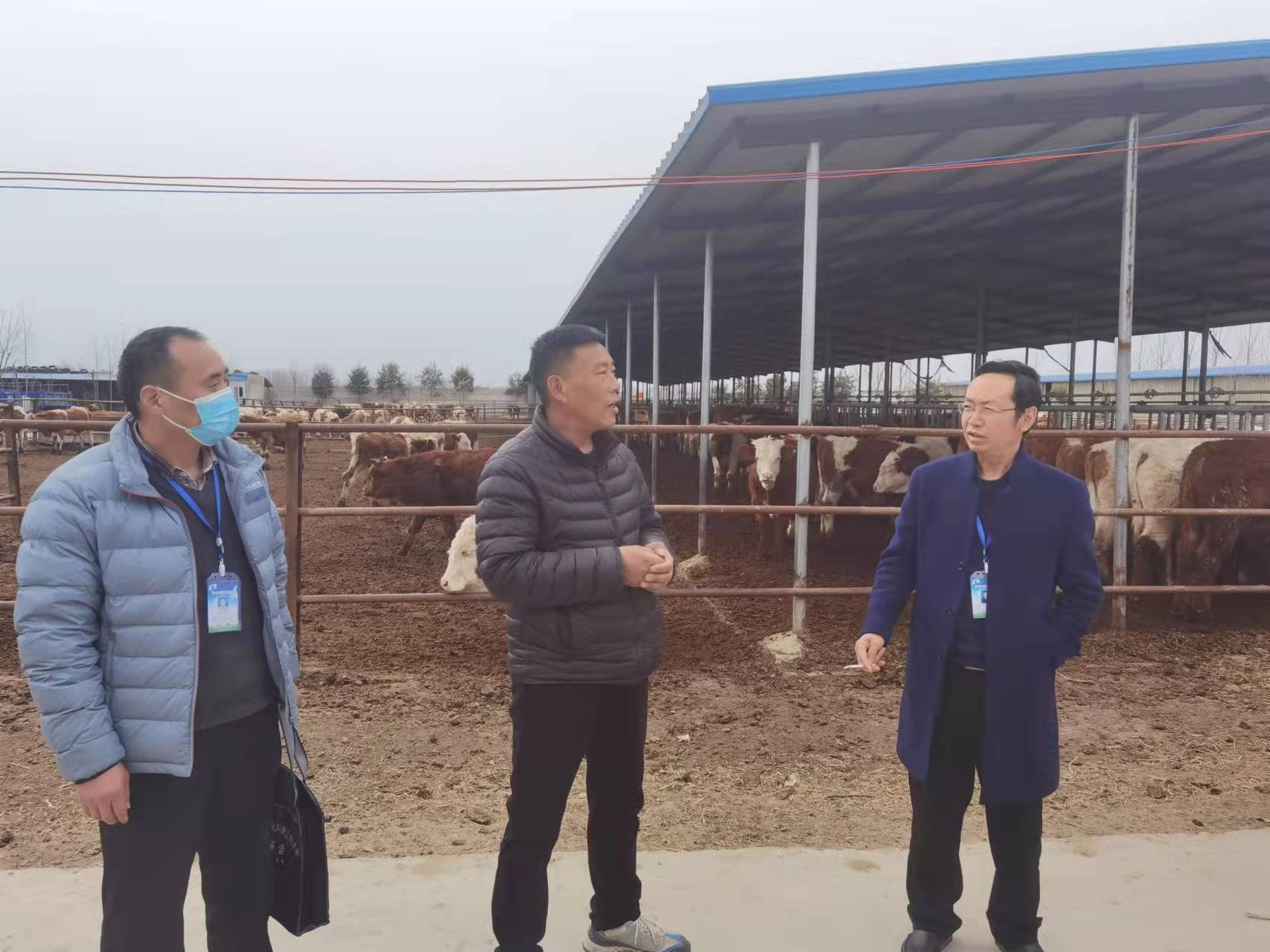 图片43