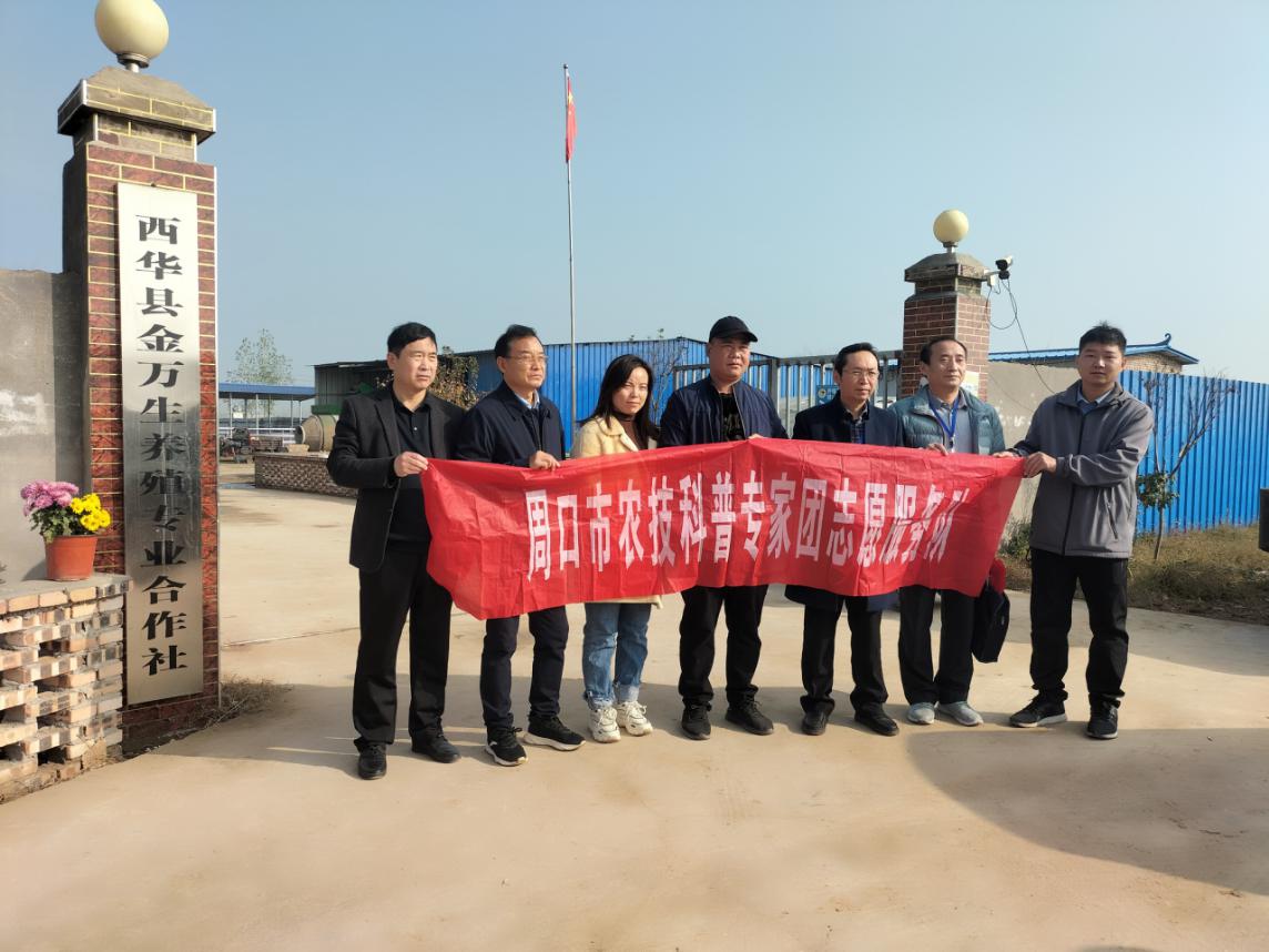 图片20001.jpg