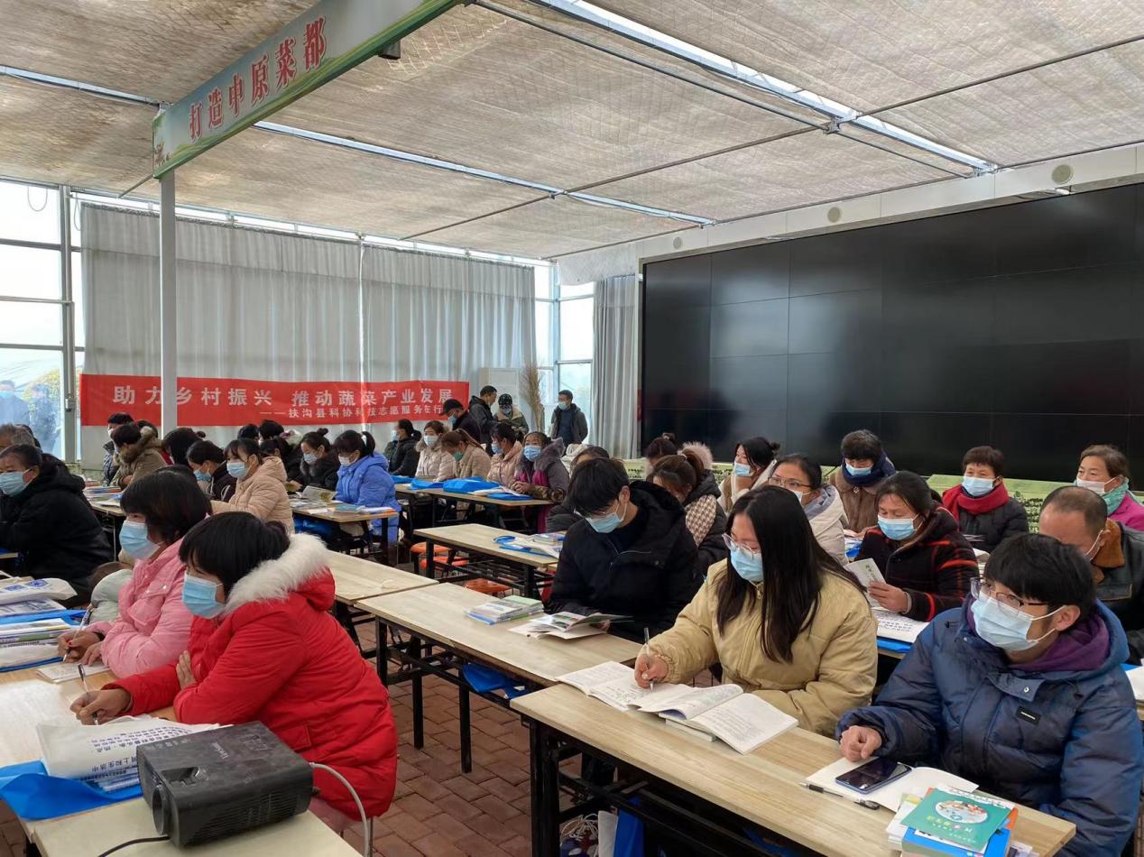 图片30005.jpg