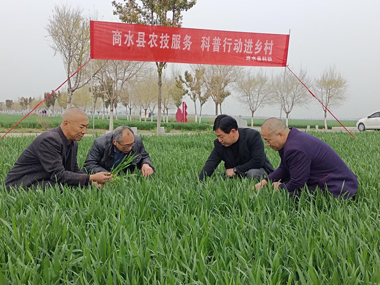 图片2.jpg