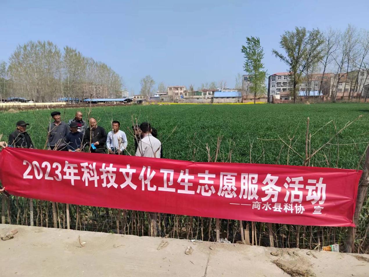 图片6.jpg