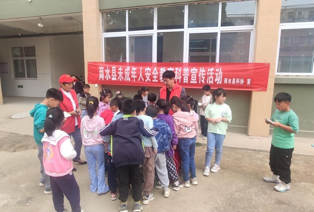 图片7