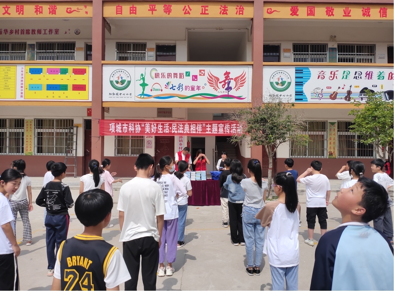 图片6