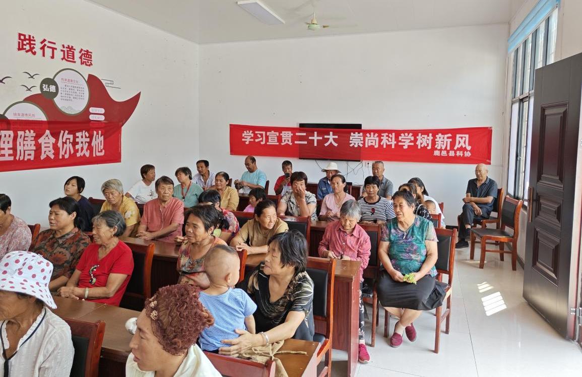 图片9