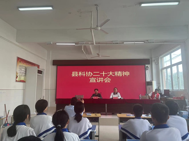 图片12