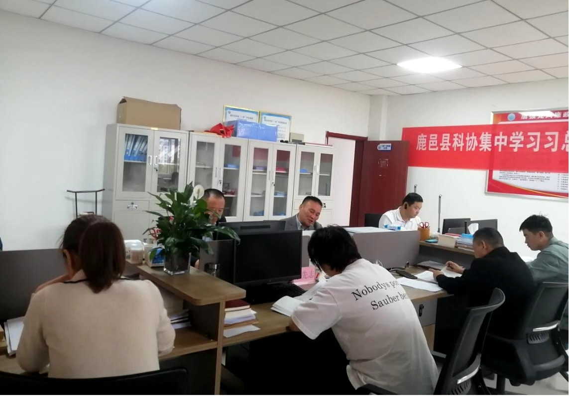 图片19