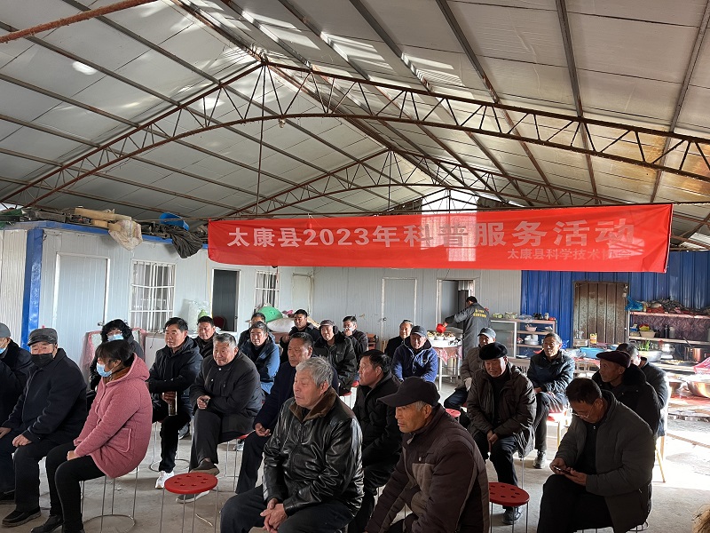 图片20