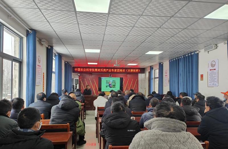 图片7