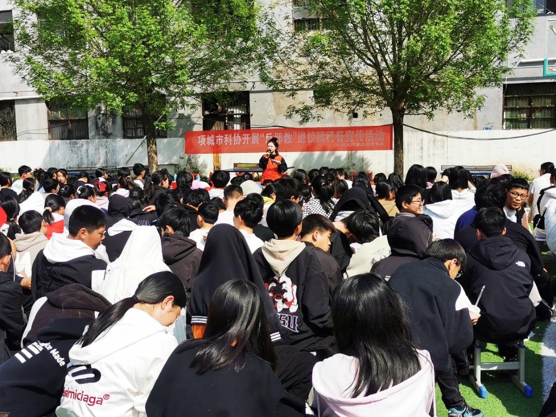 图片8