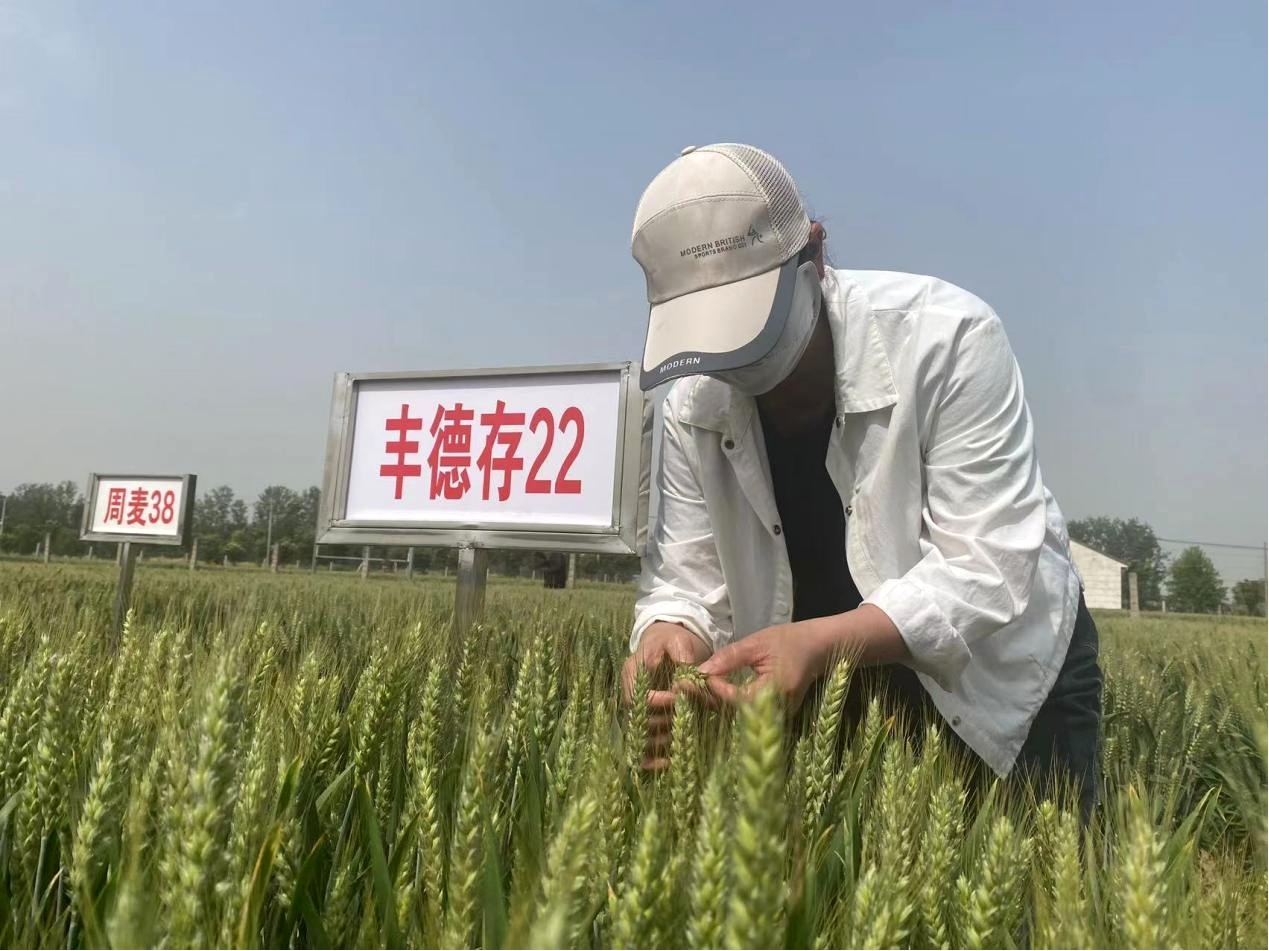 图片4.jpg