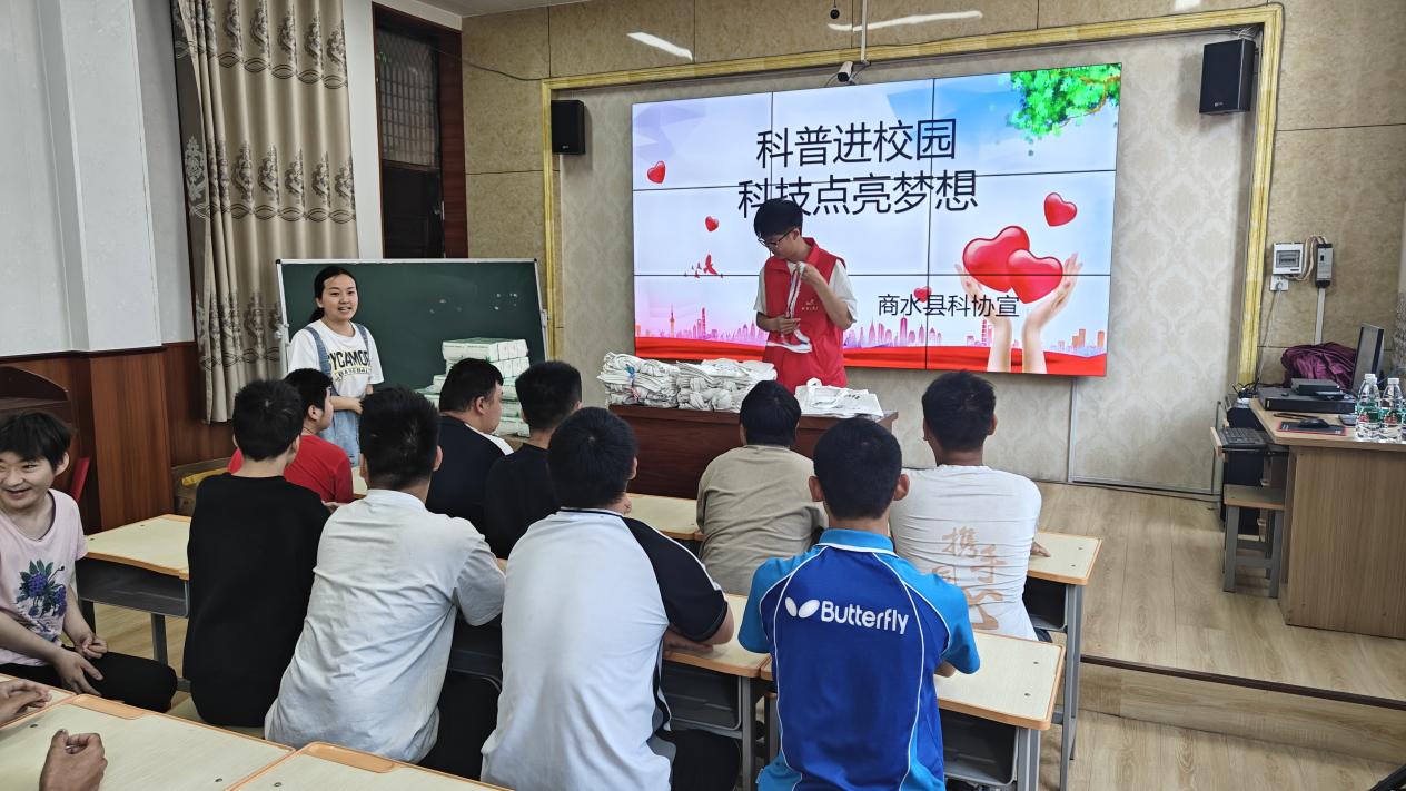 图片31