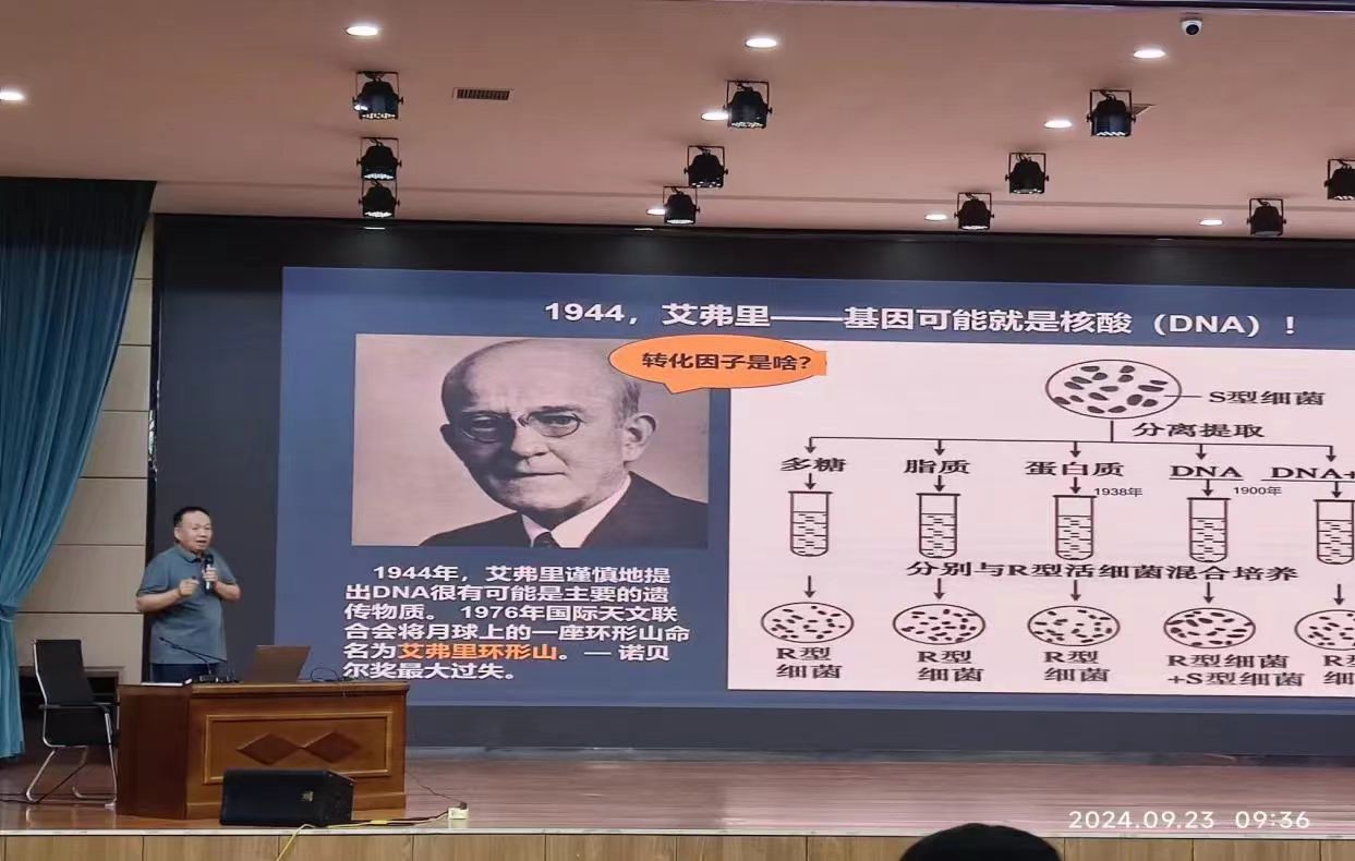 图片18