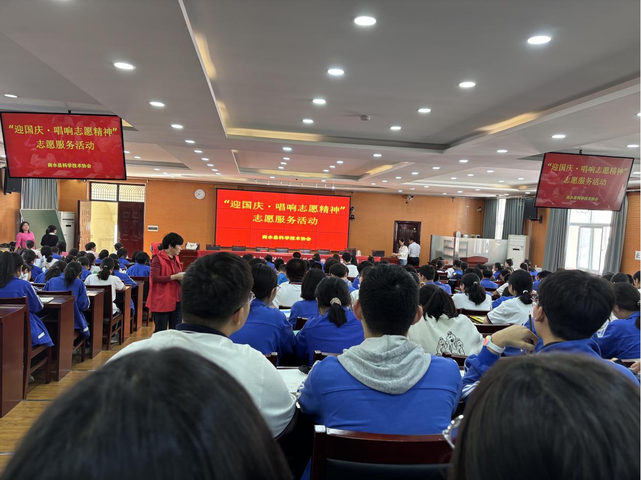 图片8
