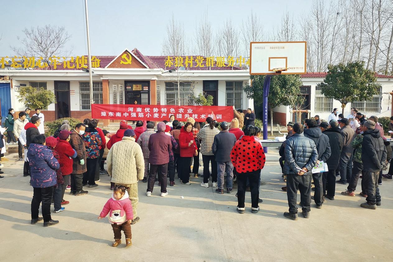 图片1