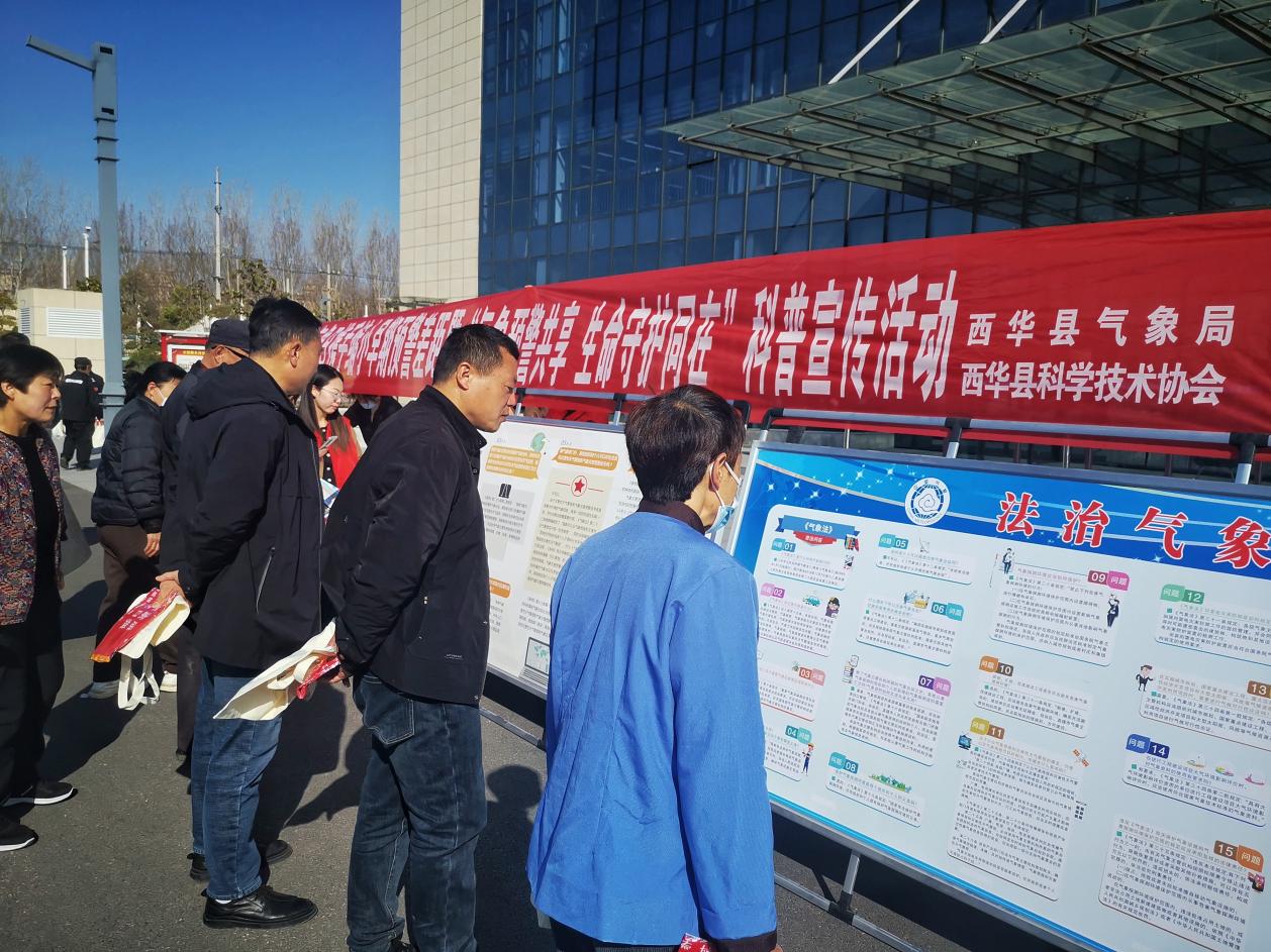 图片4