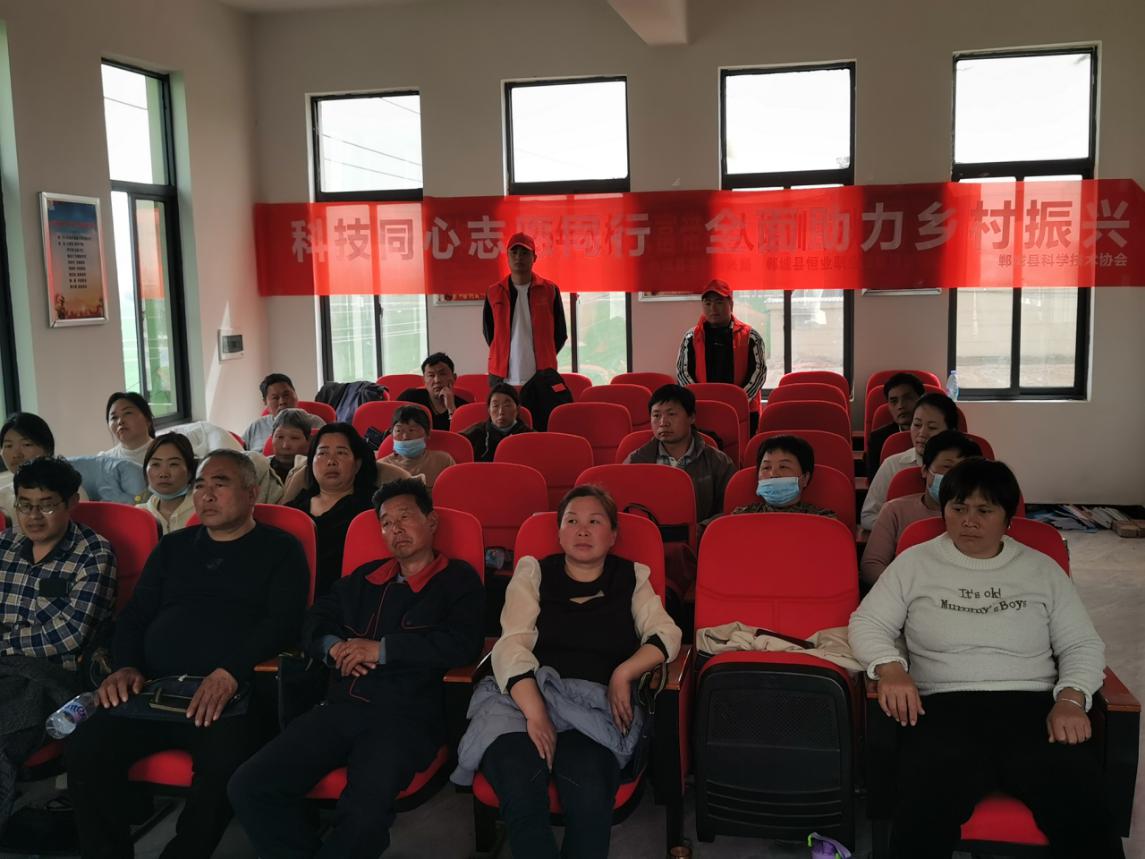 图片6