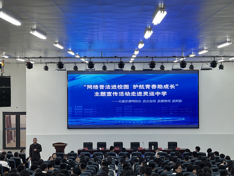 图片8