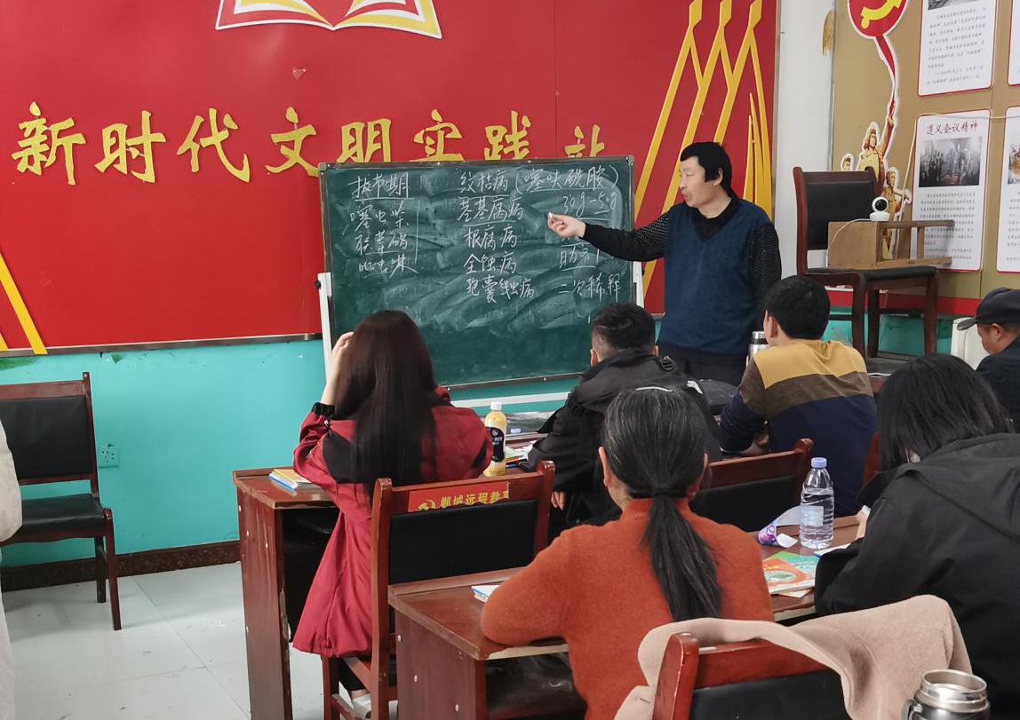 图片11