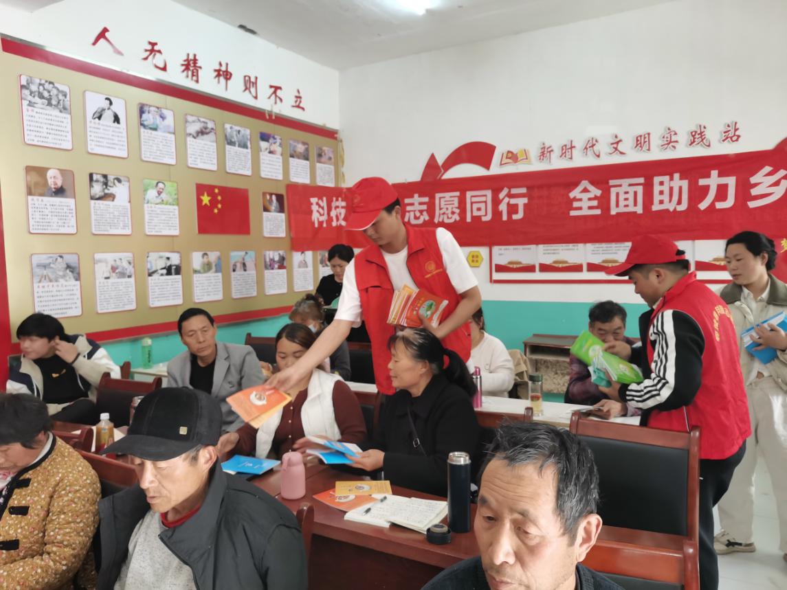 图片12