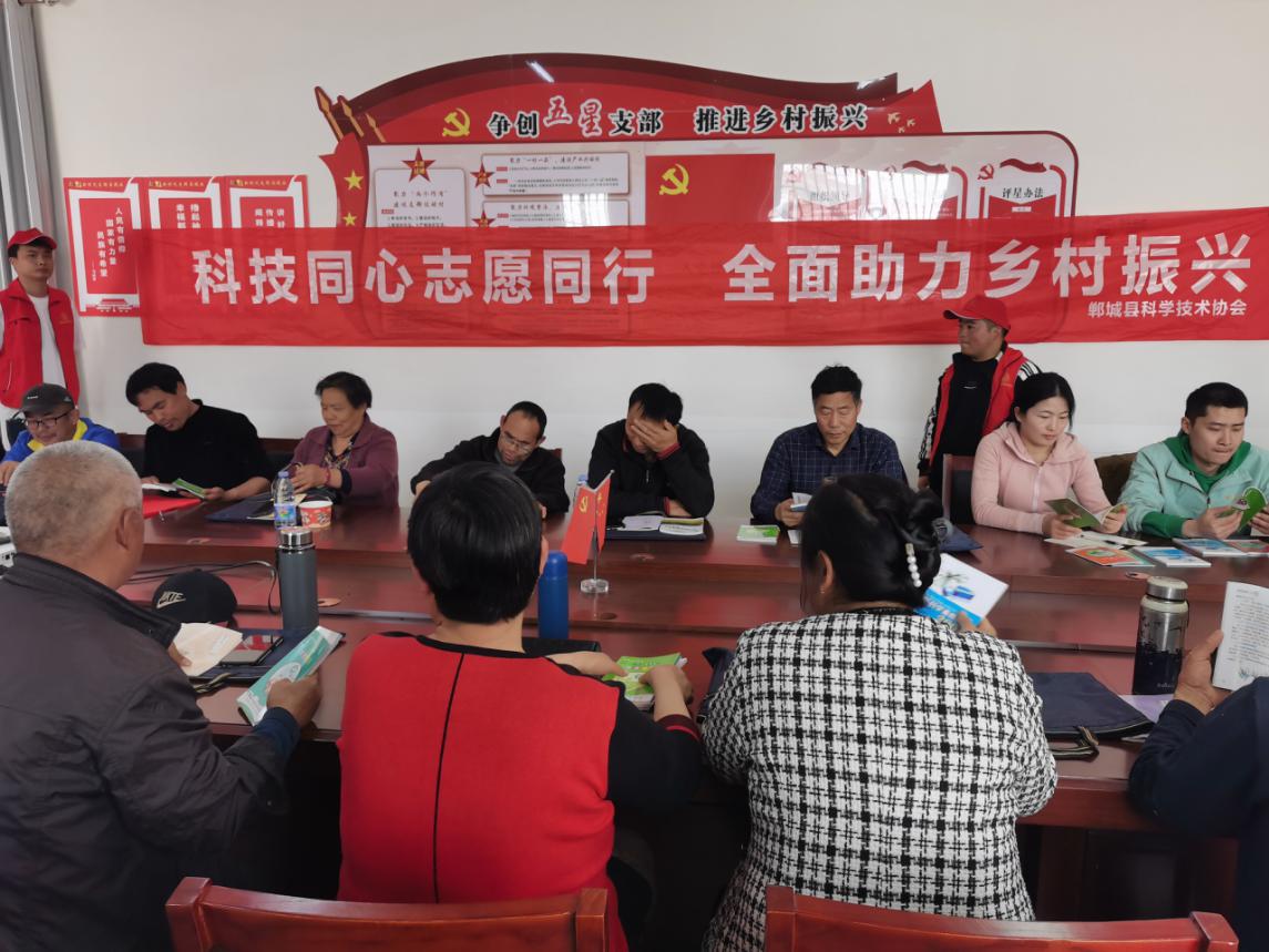 图片3