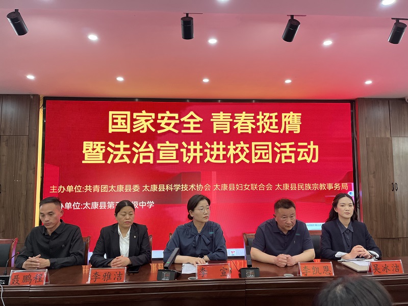 图片11