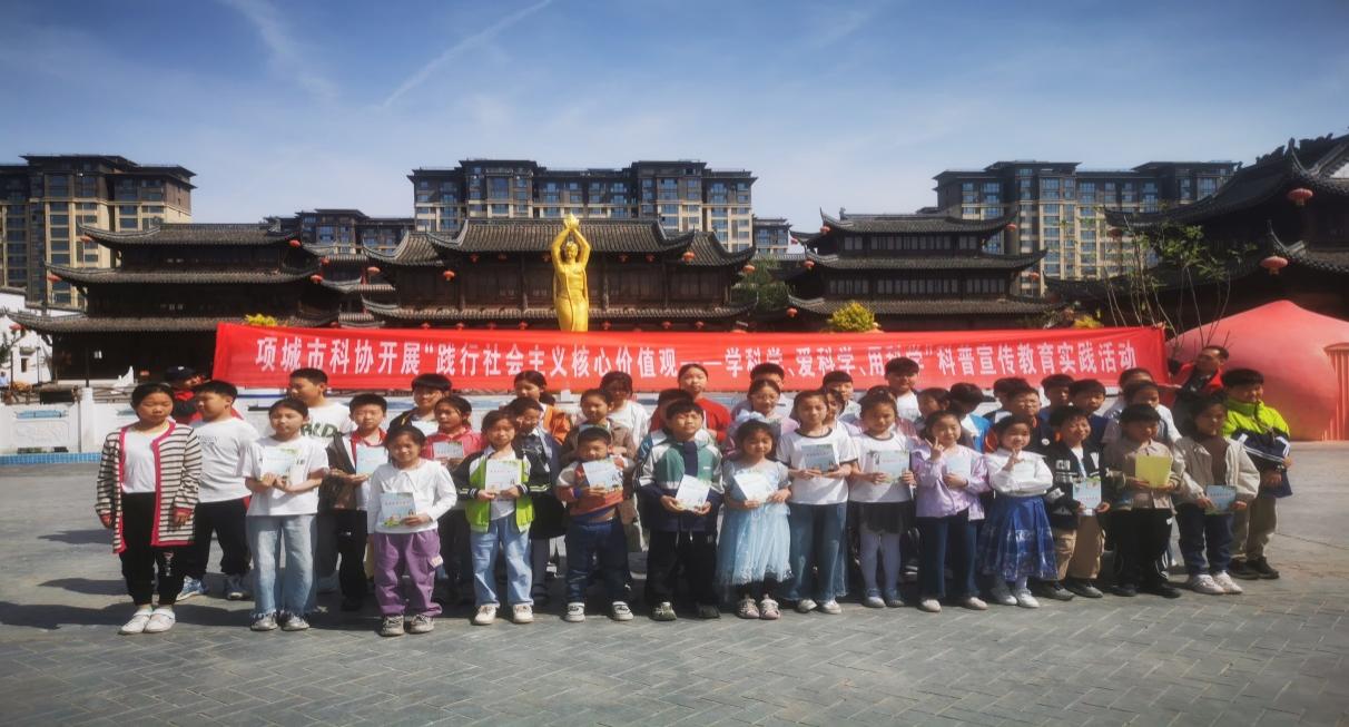 图片8