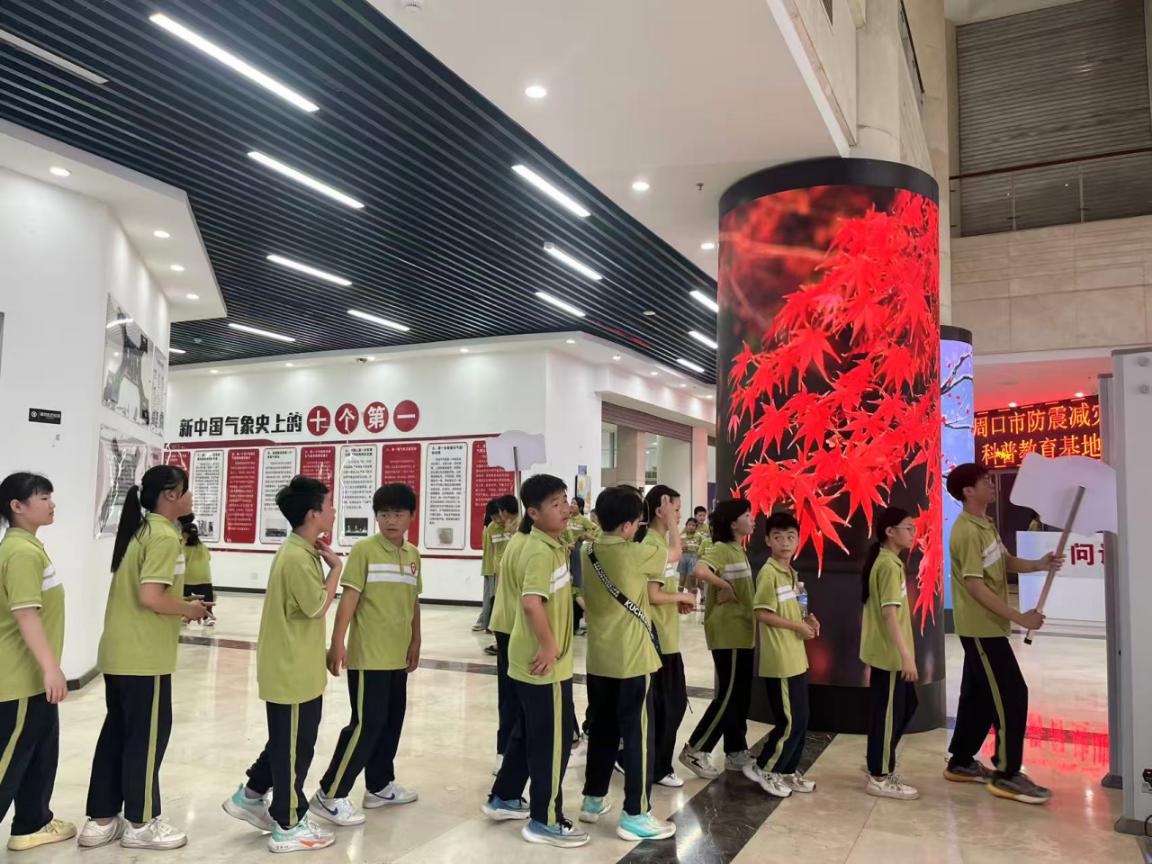 图片8