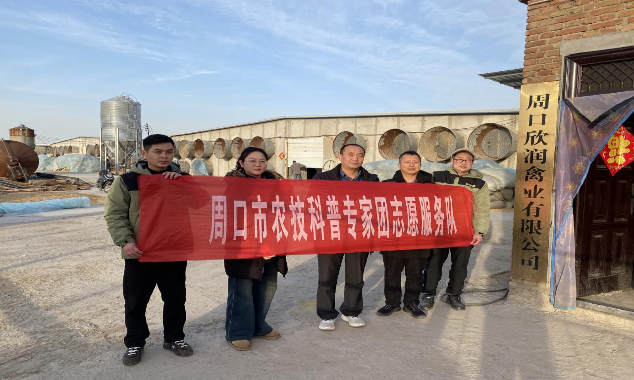 图片5