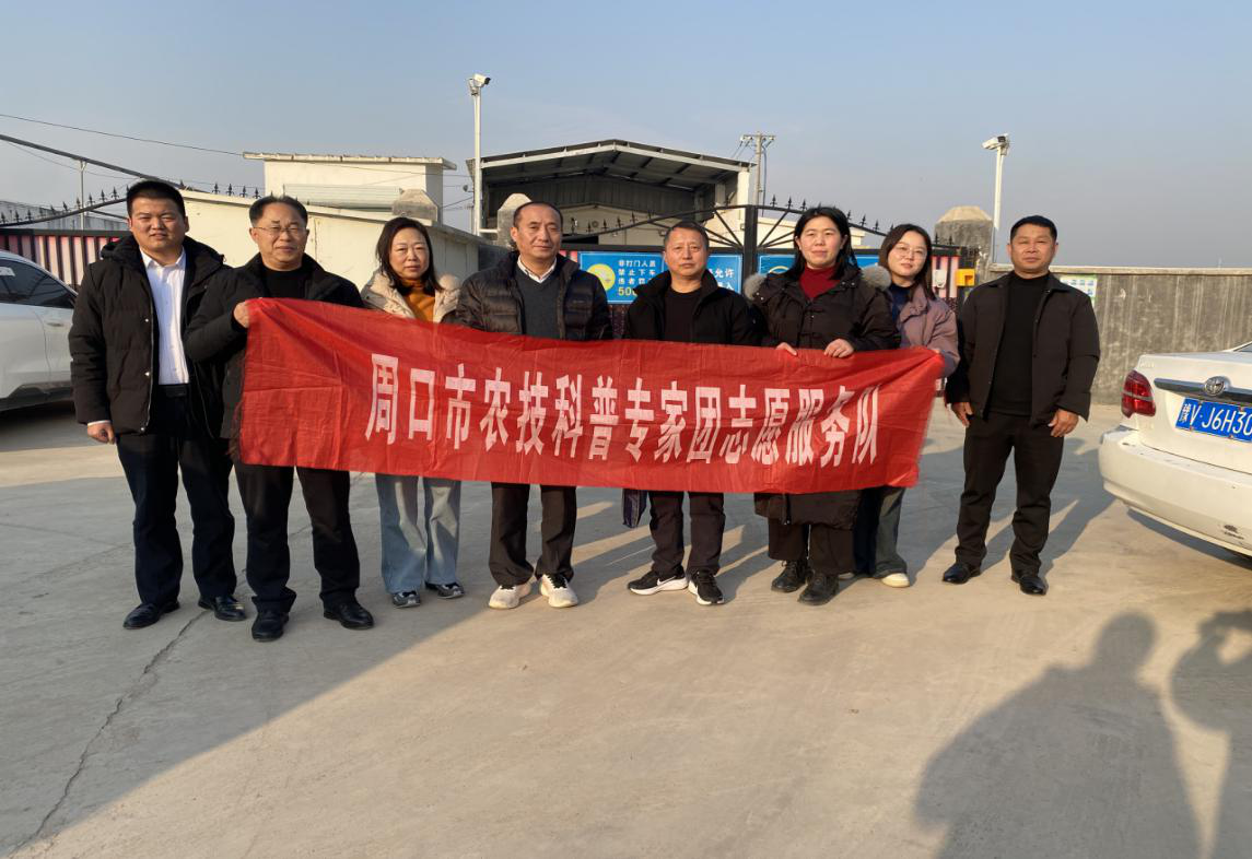 图片8