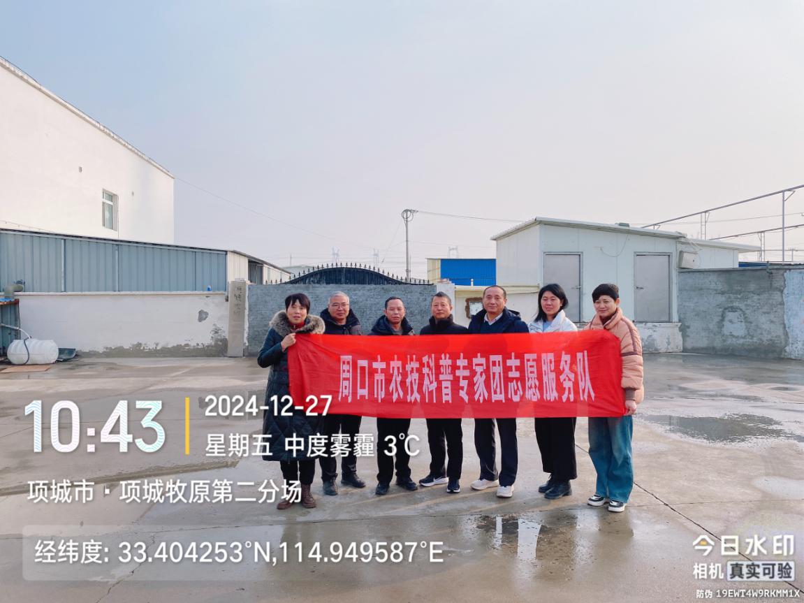图片10