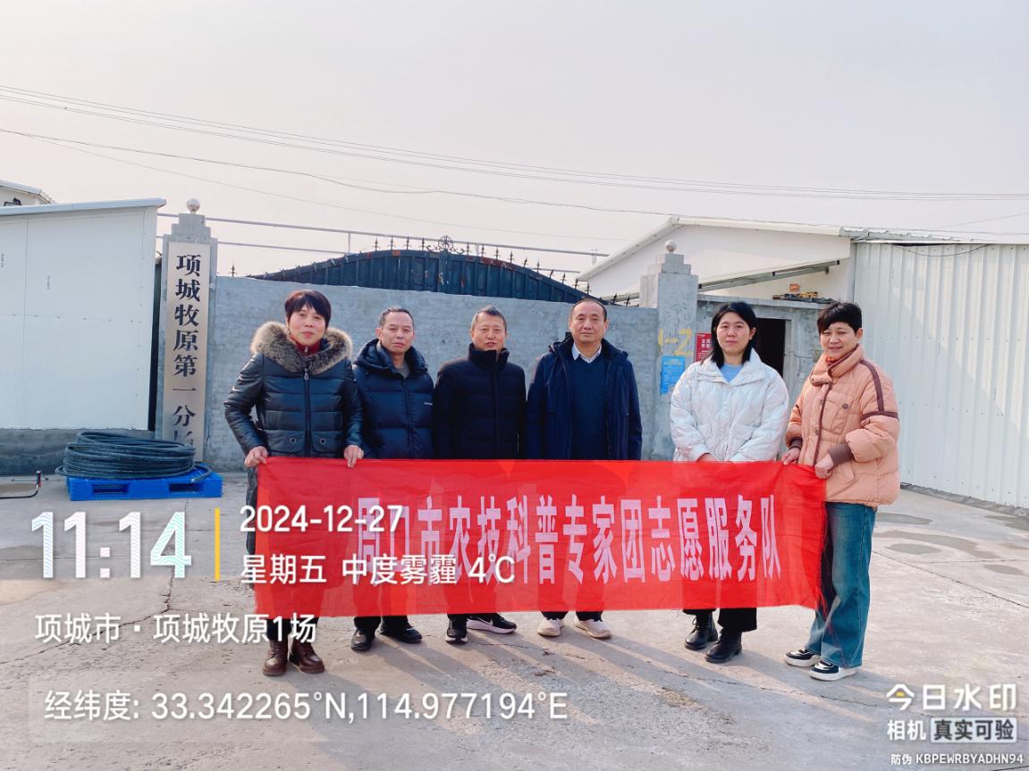 图片11