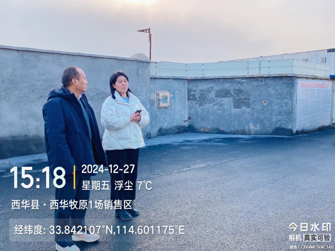 图片13