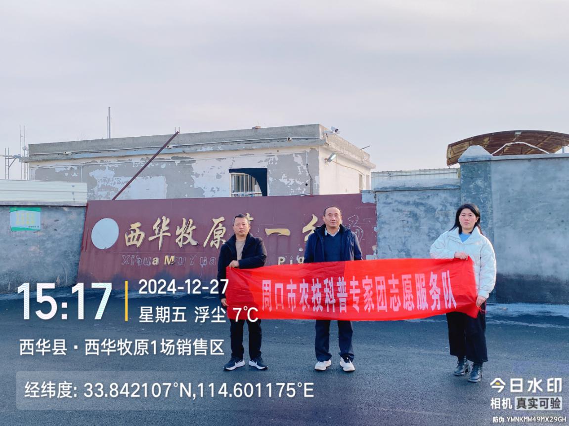 图片12