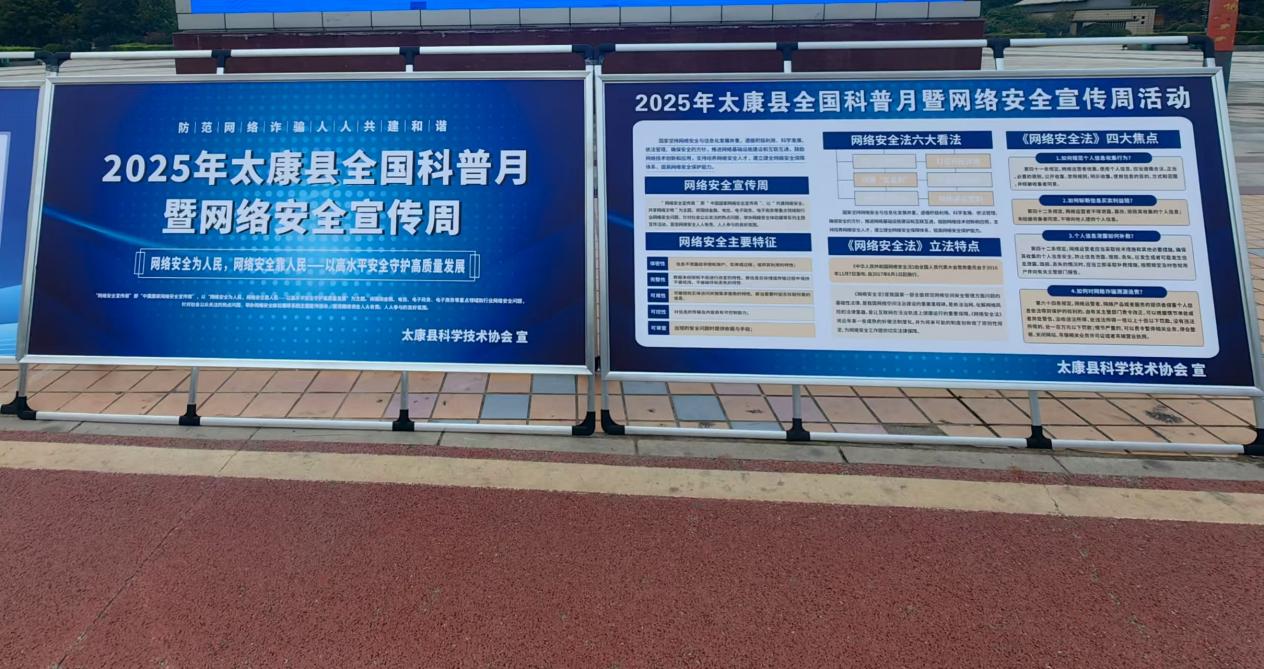 图片11