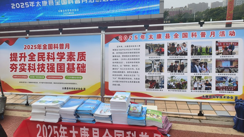 图片4