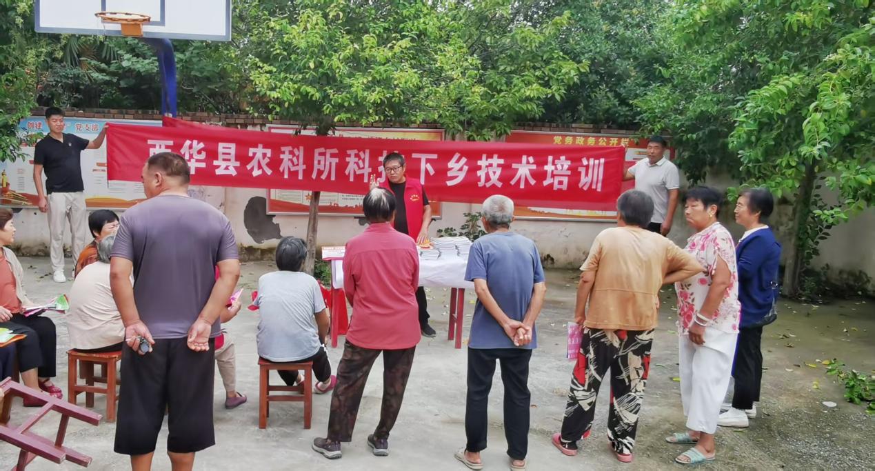 图片8