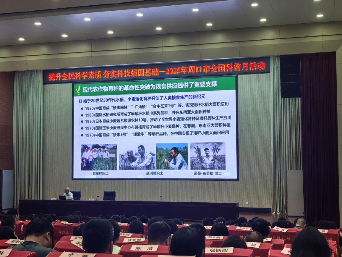 图片7