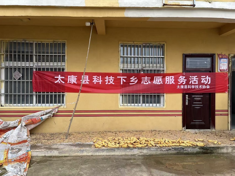 图片15