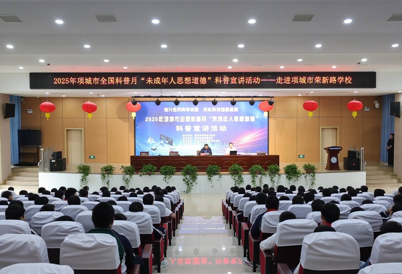 图片6