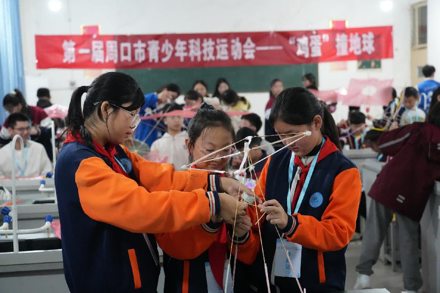 图片7