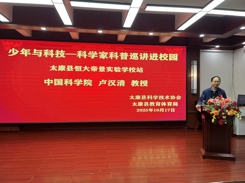 图片13 图片13