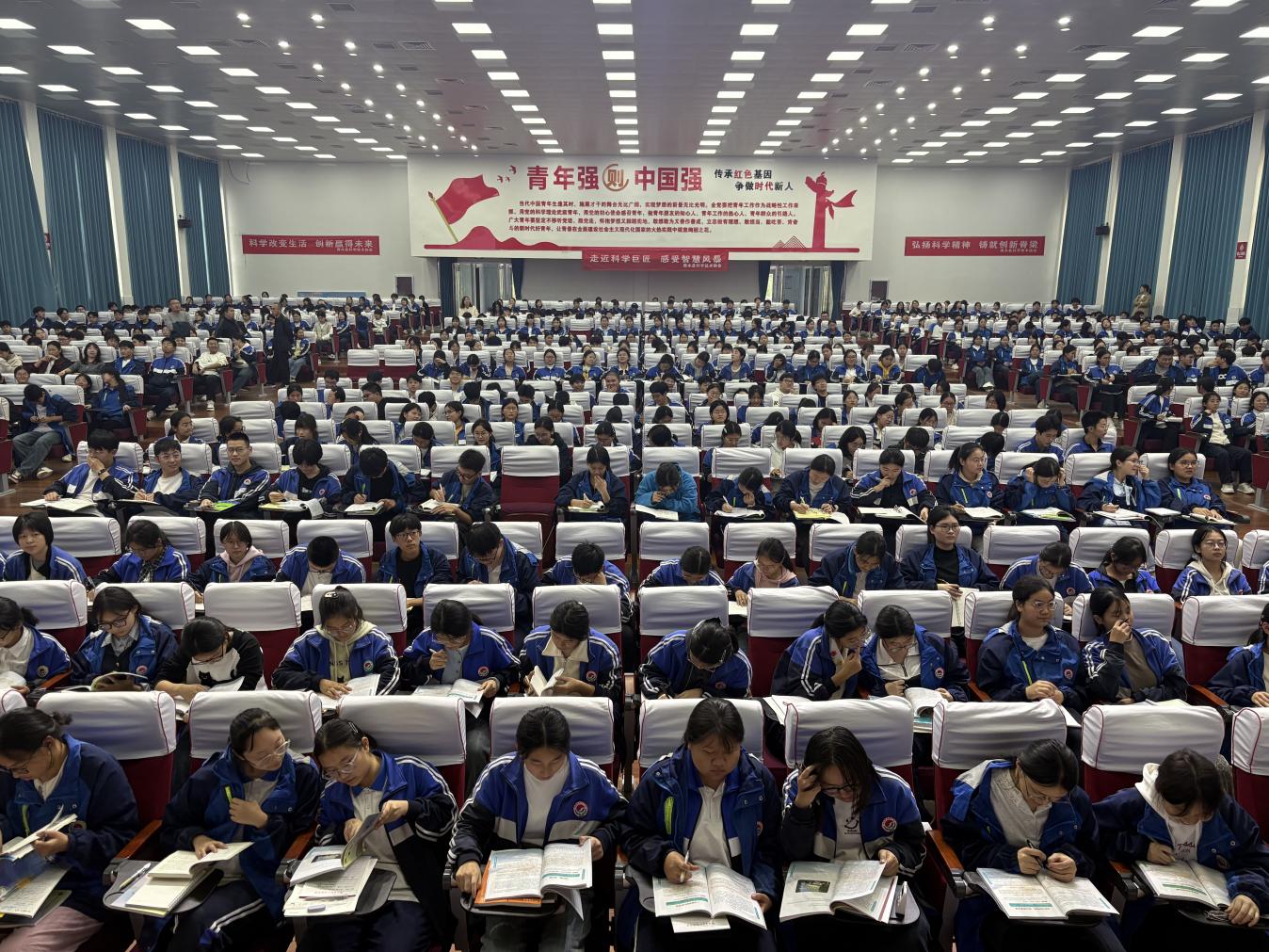 图片4 图片4