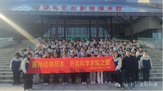 图片2 图片2