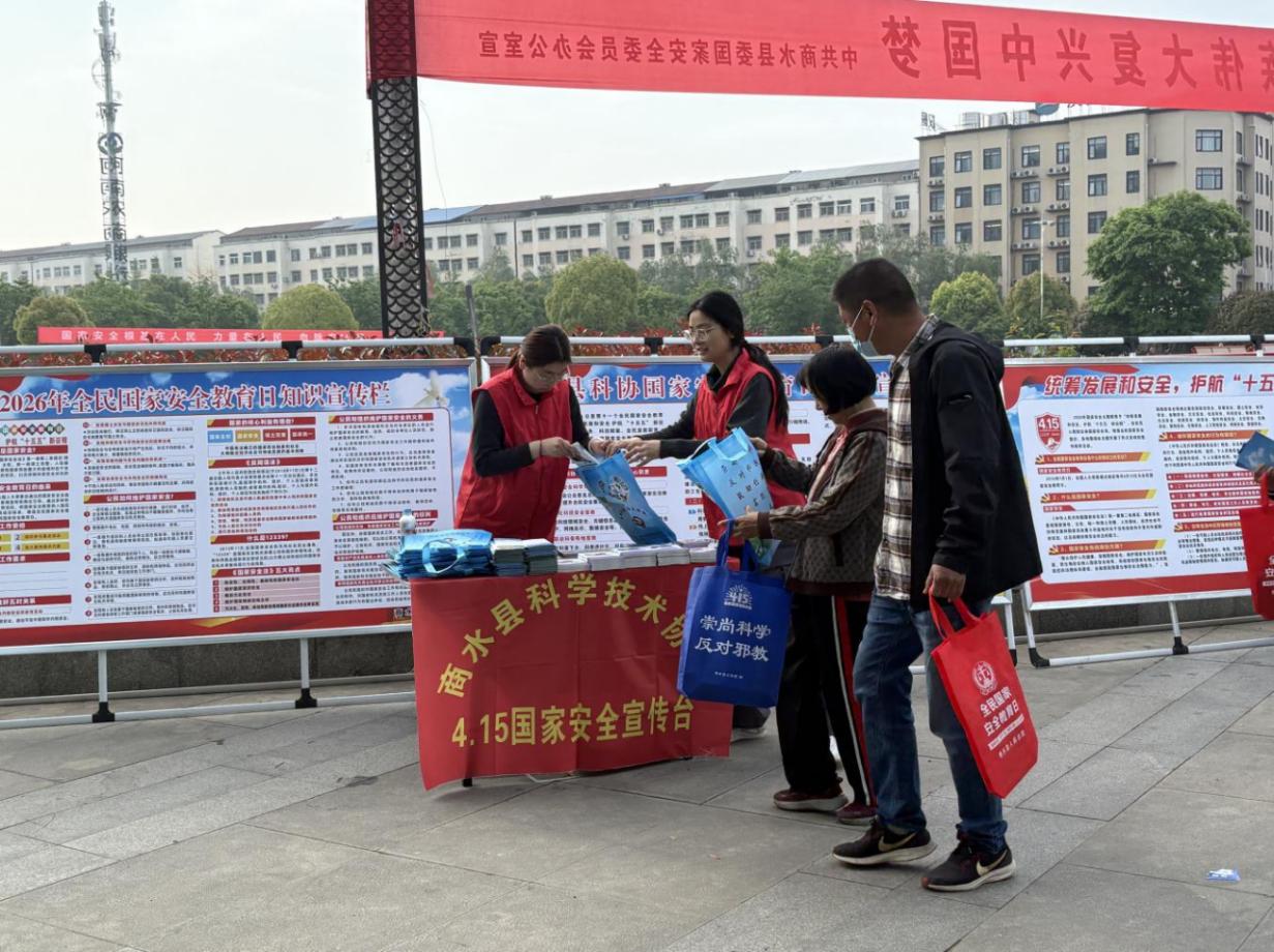 图片8