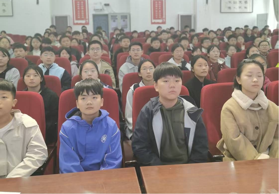 图片4