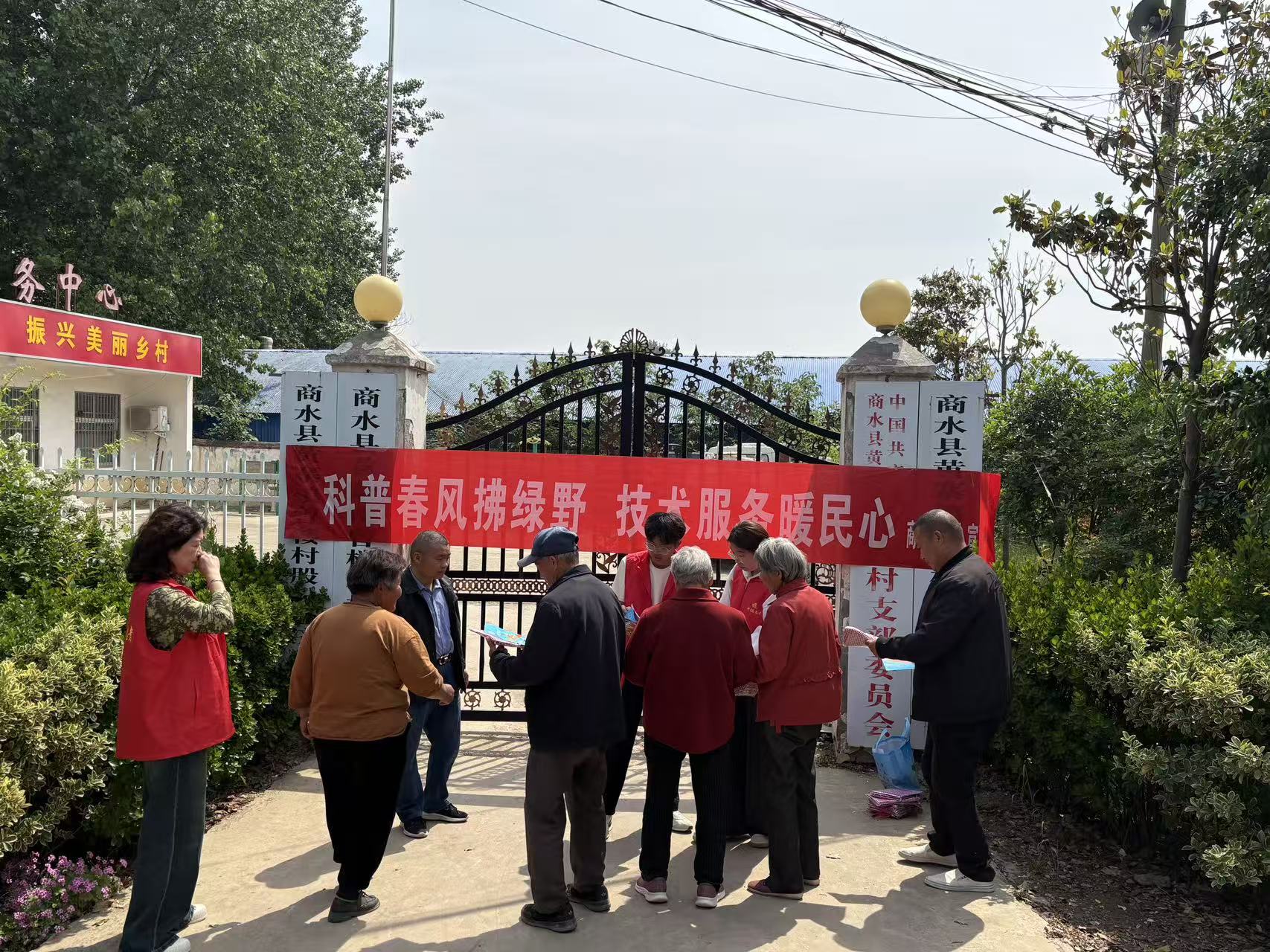 图片1