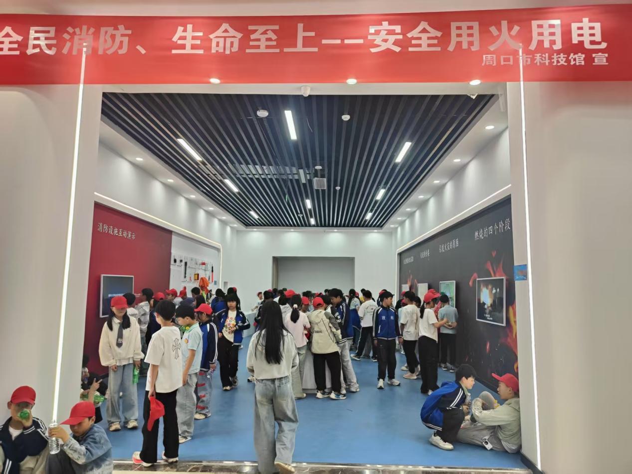 图片4
