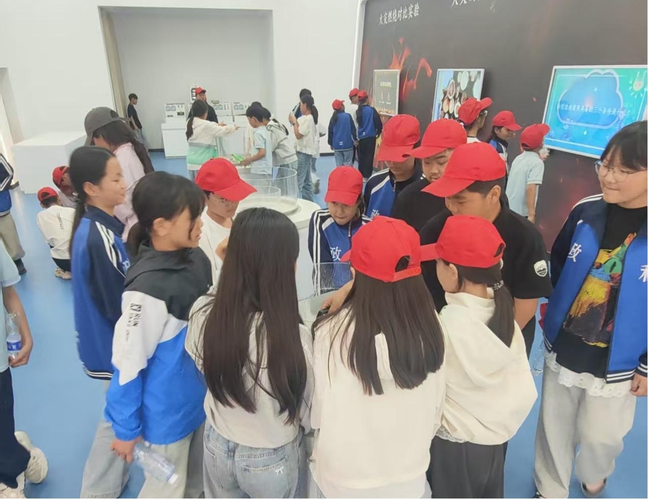 图片6