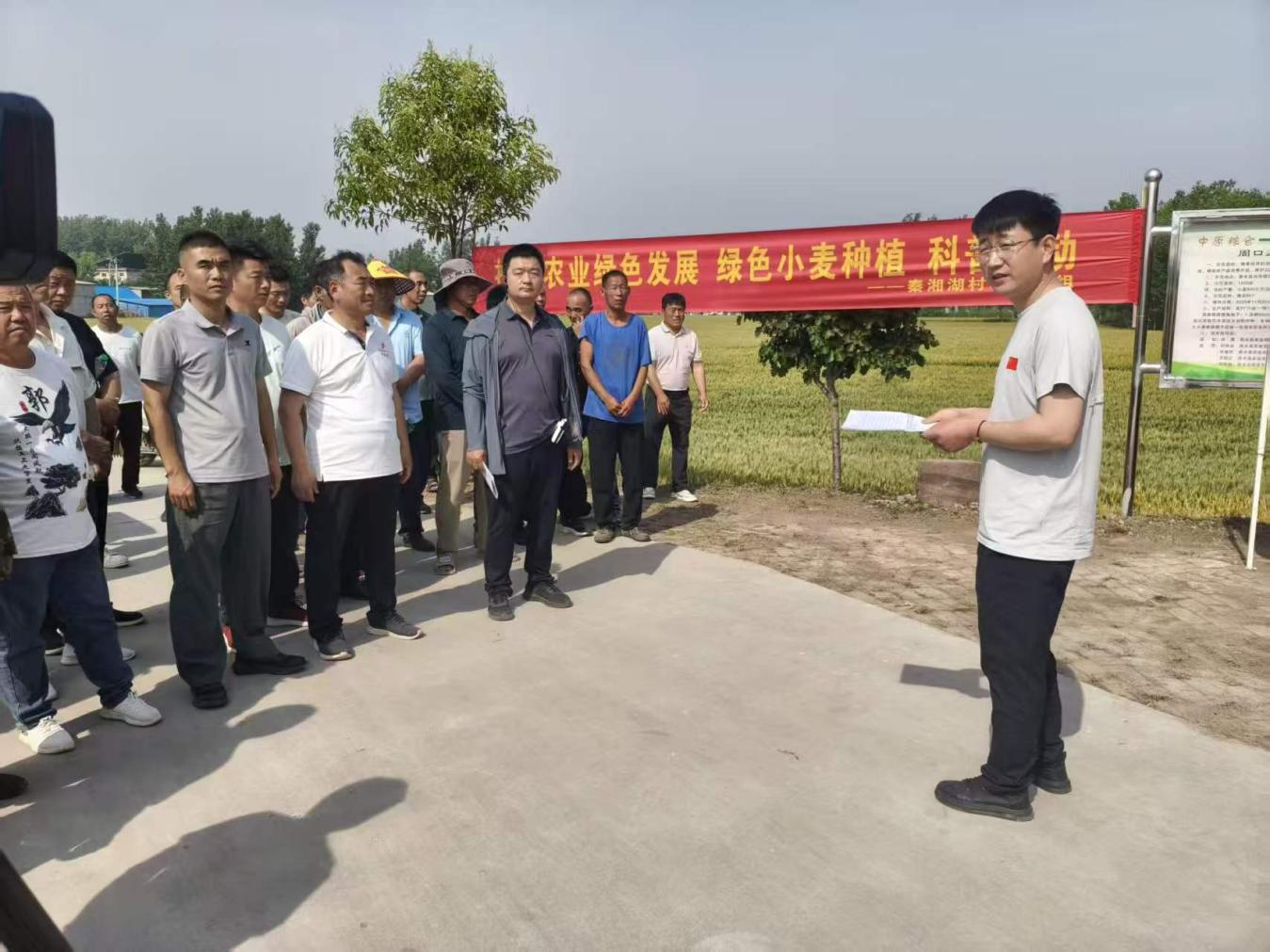图片3